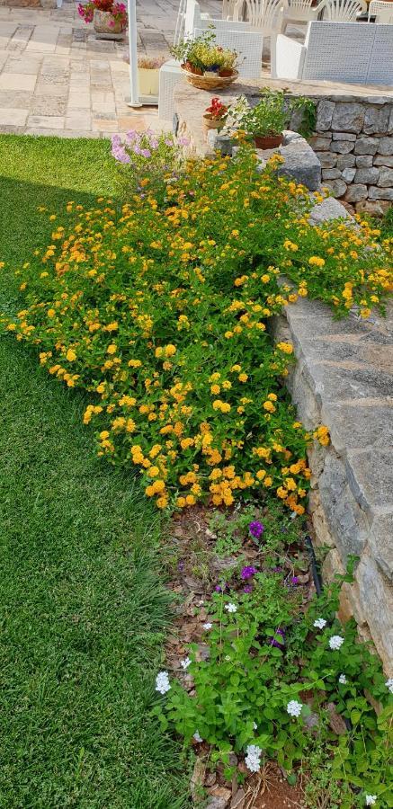 Balice Antica Dimora Bed & Breakfast Monopoli Exterior photo